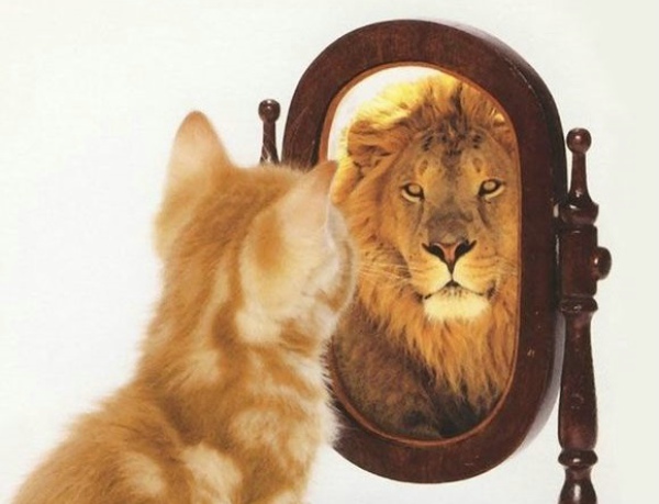 学习那些事儿——前面的话